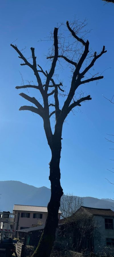 271738426_1116050252466430_8250803864981161317_n