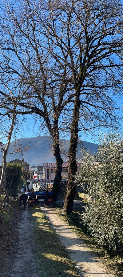 271771783_1116050239133098_5871766318426795077_n